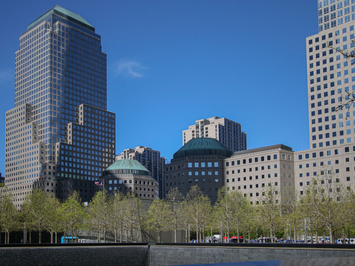 Web developer for businesses in USA